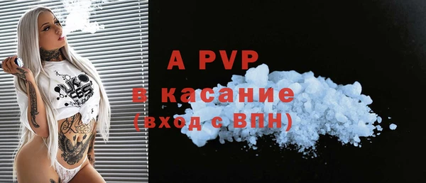 сатива Баксан
