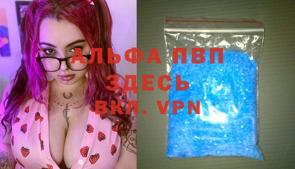 сатива Баксан