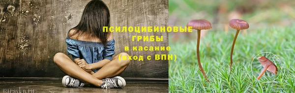 сатива Балабаново